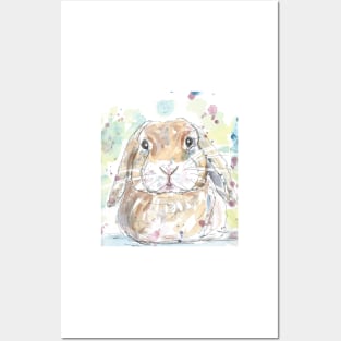 Lop Rabbit Portrait. Posters and Art